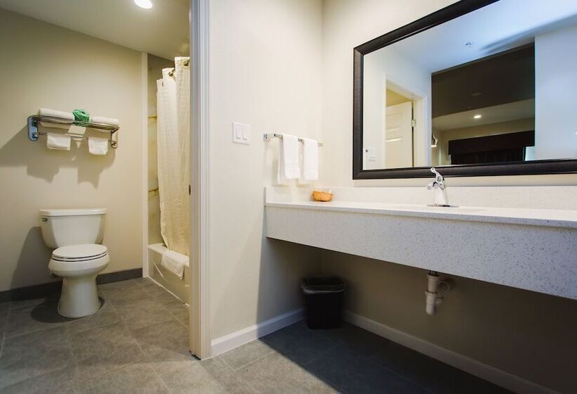 هتل Scottish Inn & Suites  Atascocita