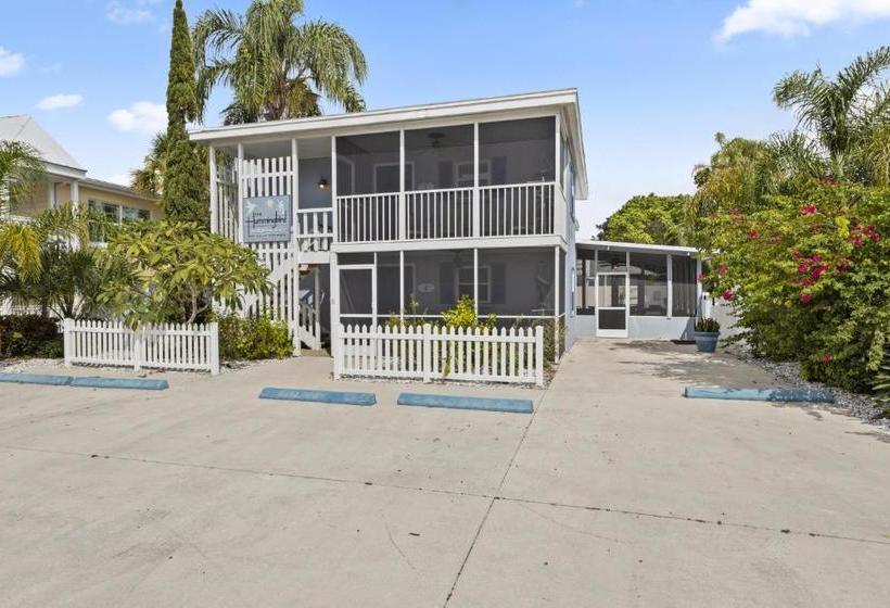 فندق The Hummingbird