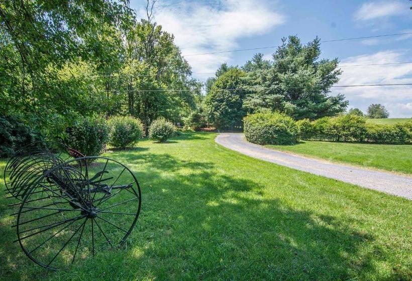 酒店 The Widow Kip S Inn