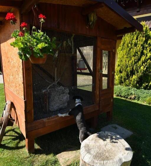 Отель Villa Victoria Penzion