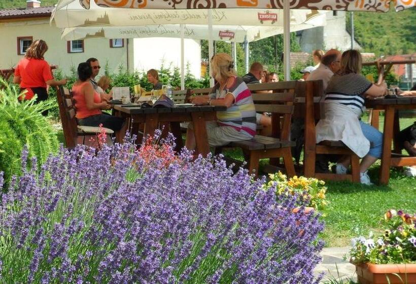 Отель Villa Victoria Penzion