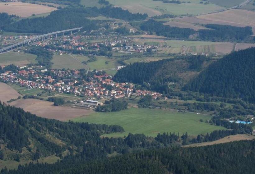 Отель Villa Victoria Penzion