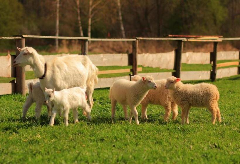 Отель Villa Victoria Penzion