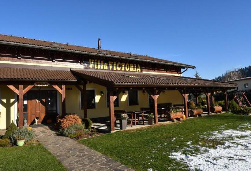 Отель Villa Victoria Penzion