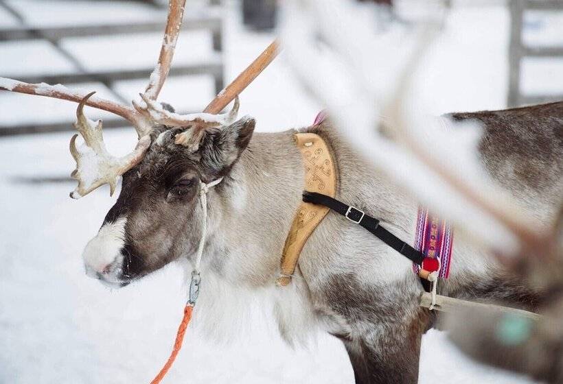 ホテル Villa Virpi