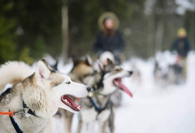 ホテル Villa Virpi