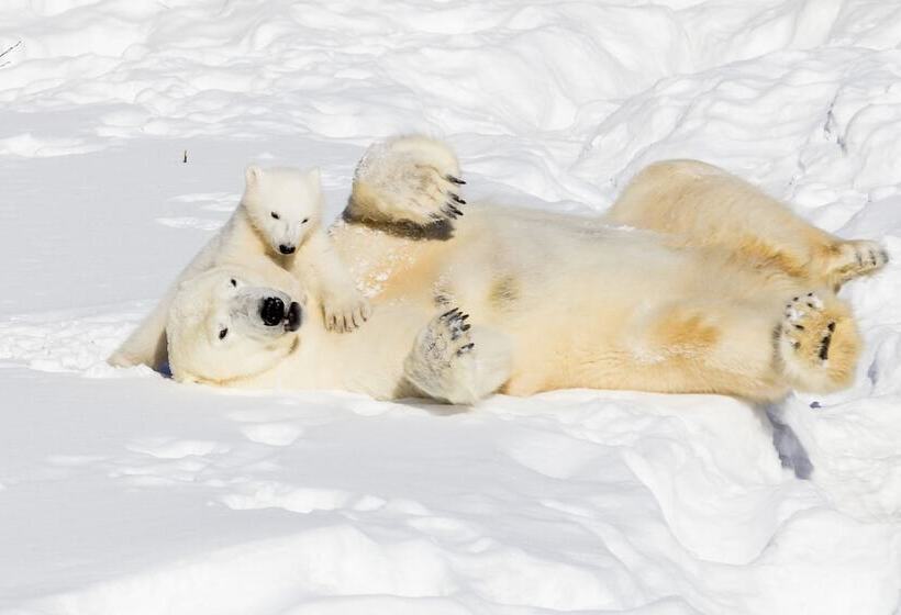 ホテル Villa Virpi