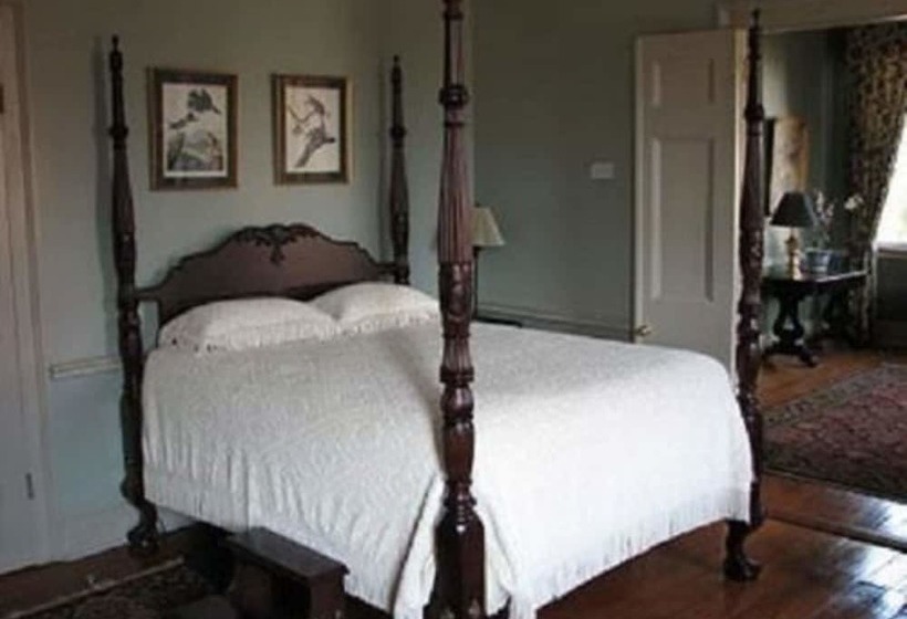 فندق Wilkins Town House