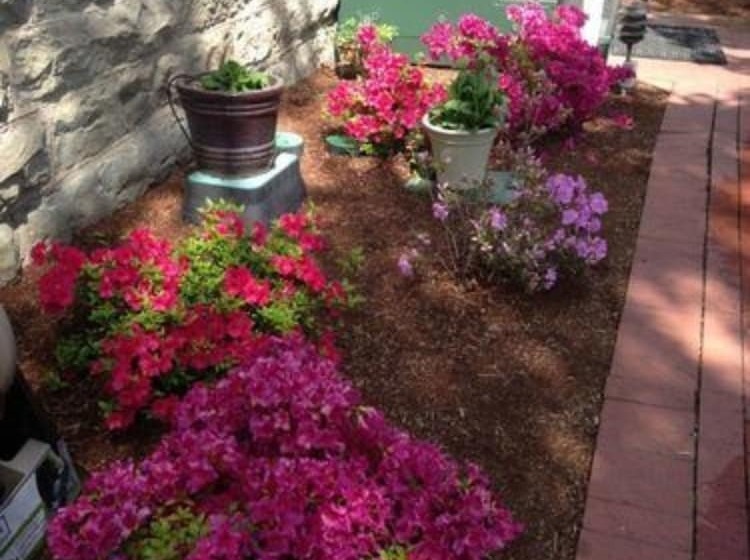 فندق Abigail S Bed And Breakfast Inn