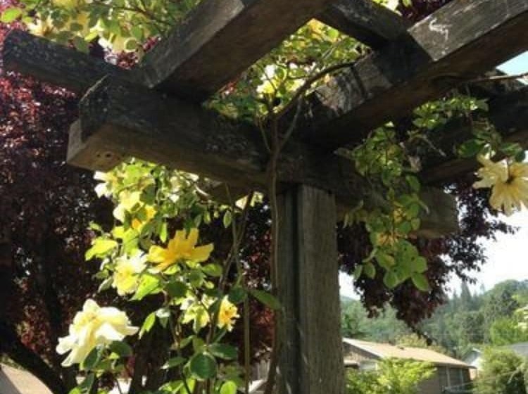 فندق Abigail S Bed And Breakfast Inn