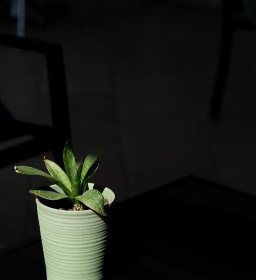 בית מלון כפרי Akropol