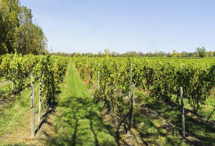 בית מלון כפרי Barrister's Bed & Breakfast