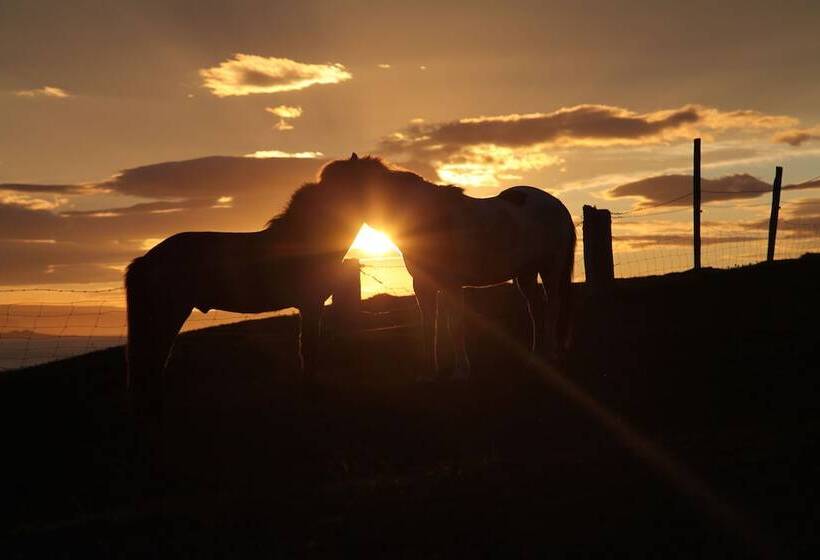 هتل Bessastadir Guesthouse