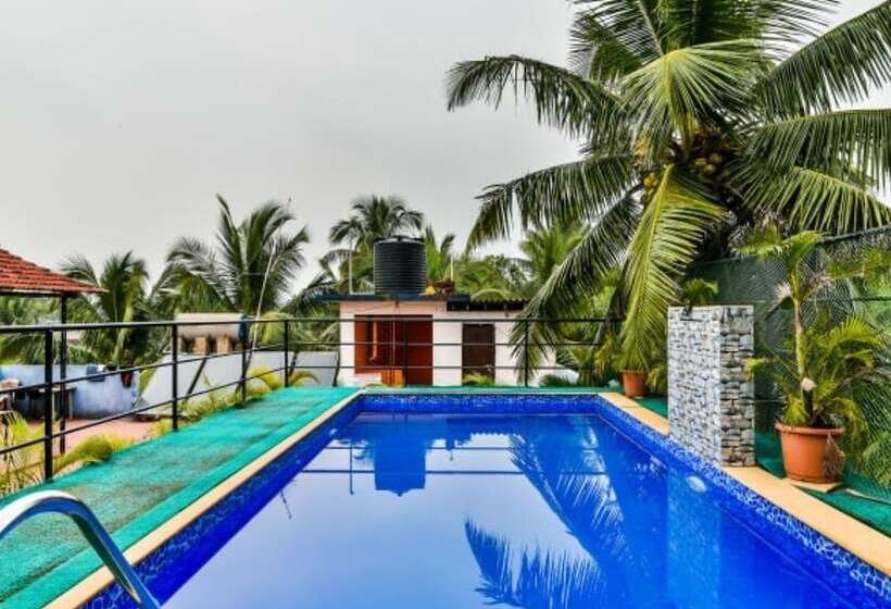 هتل Blue Marine Resort