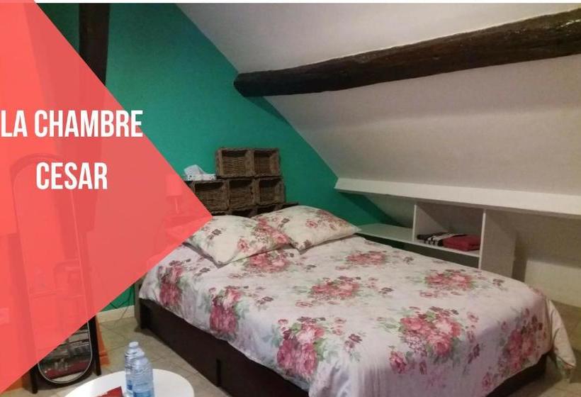 酒店 Cathy Blue Lodge