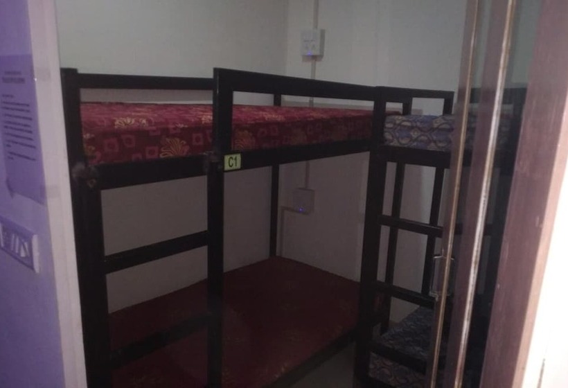 בית מלון כפרי City Backpackers Hostel