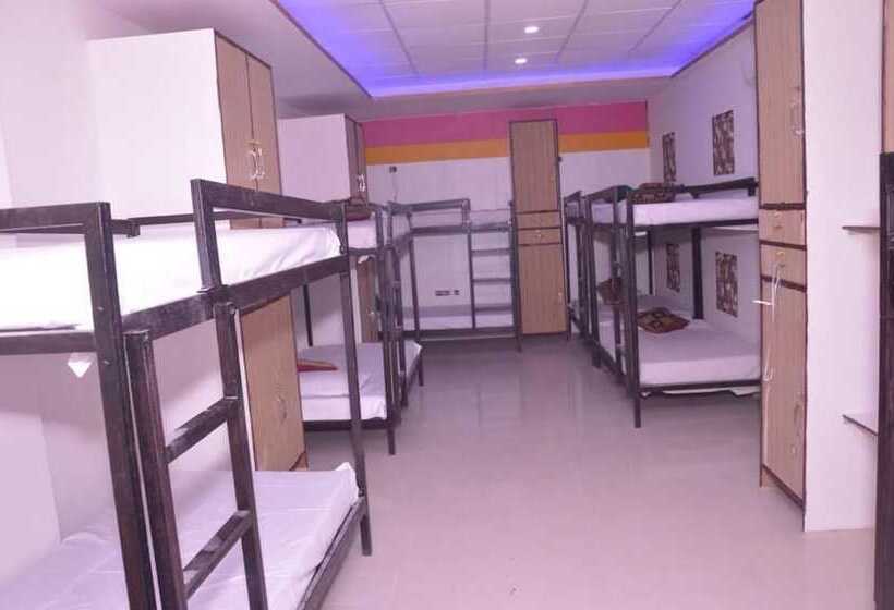 בית מלון כפרי City Backpackers Hostel