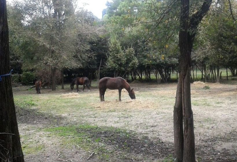 فندق Garitsa Bay Apartment