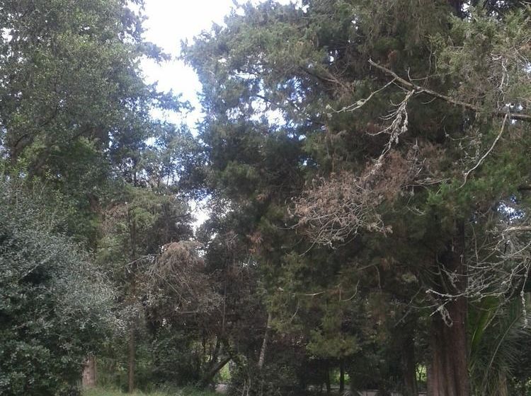 فندق Garitsa Bay Apartment