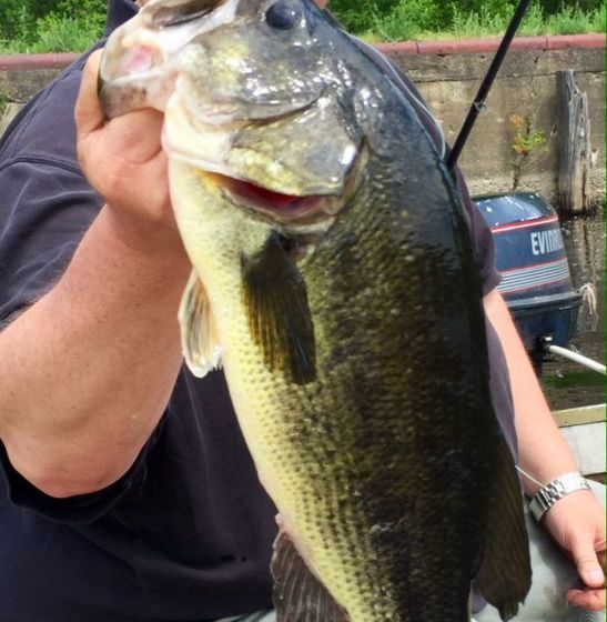 فندق Geyser Lodge