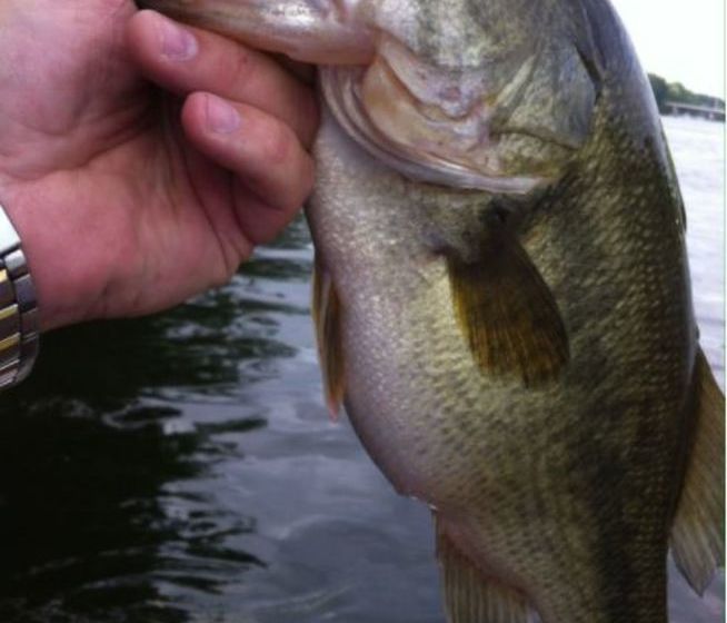 فندق Geyser Lodge