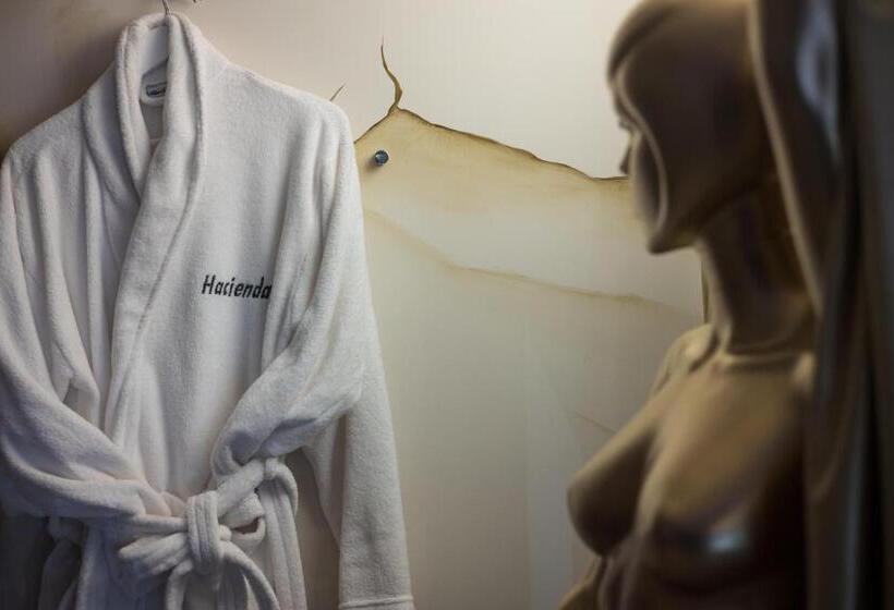 Отель Hacienda La Demeure