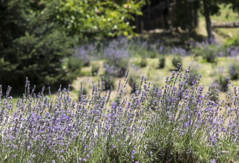 ホテル Ktima Bellou