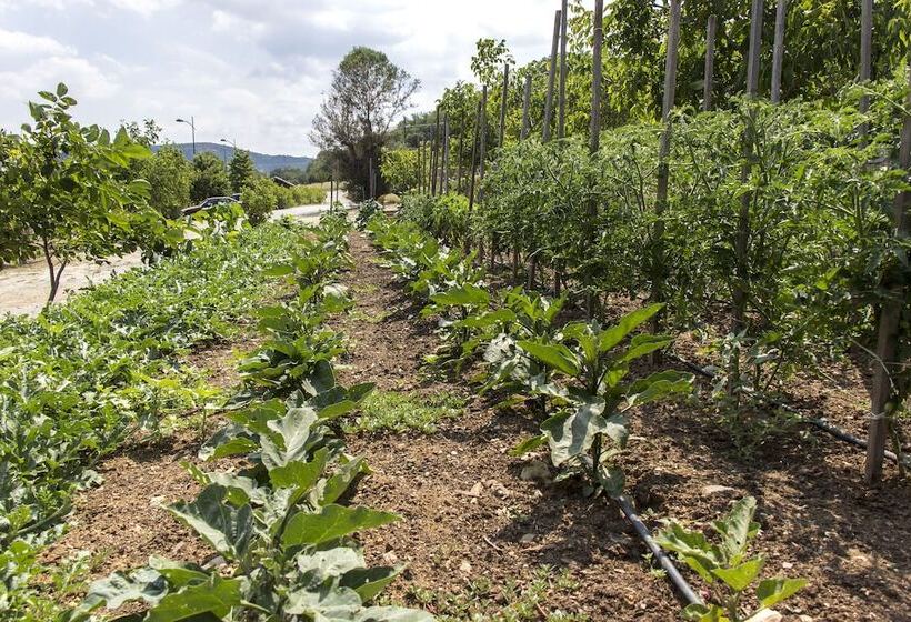 ホテル Ktima Bellou