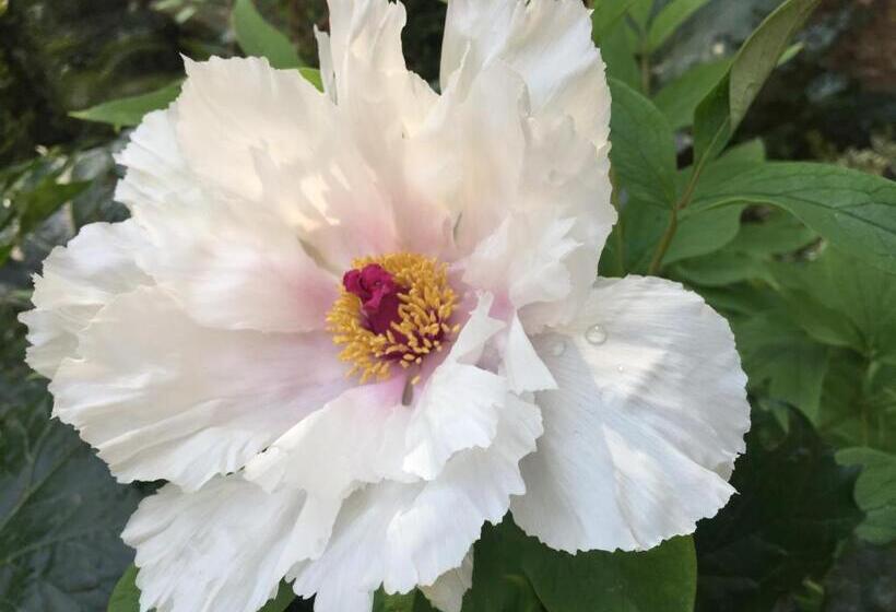 فندق Les Jardins De Baracane