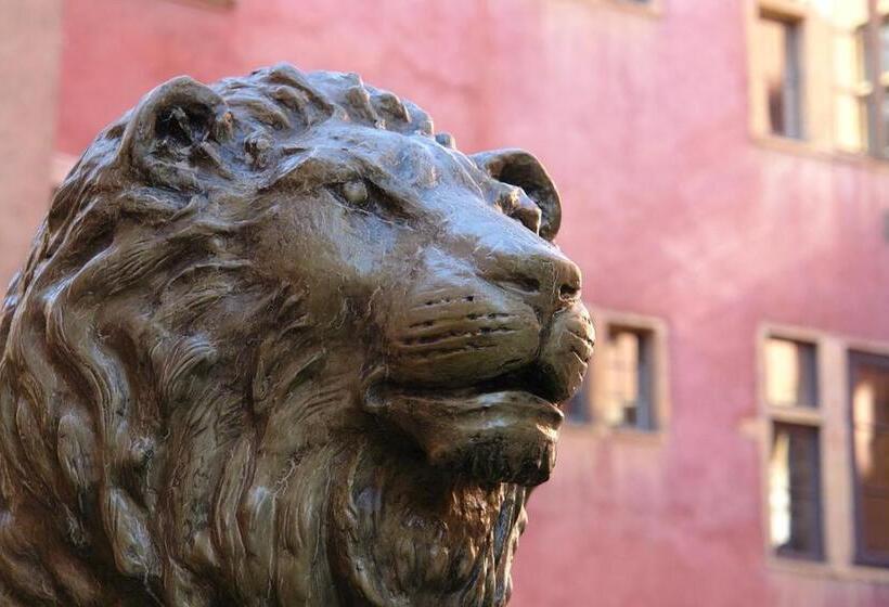Mhl   Maison Hotel Lyon