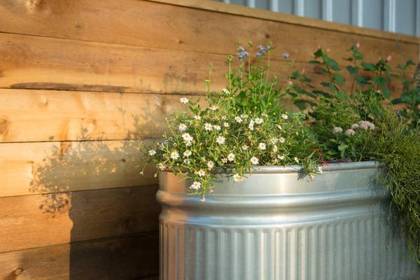 酒店 Mustard Seed B&b On The Llano