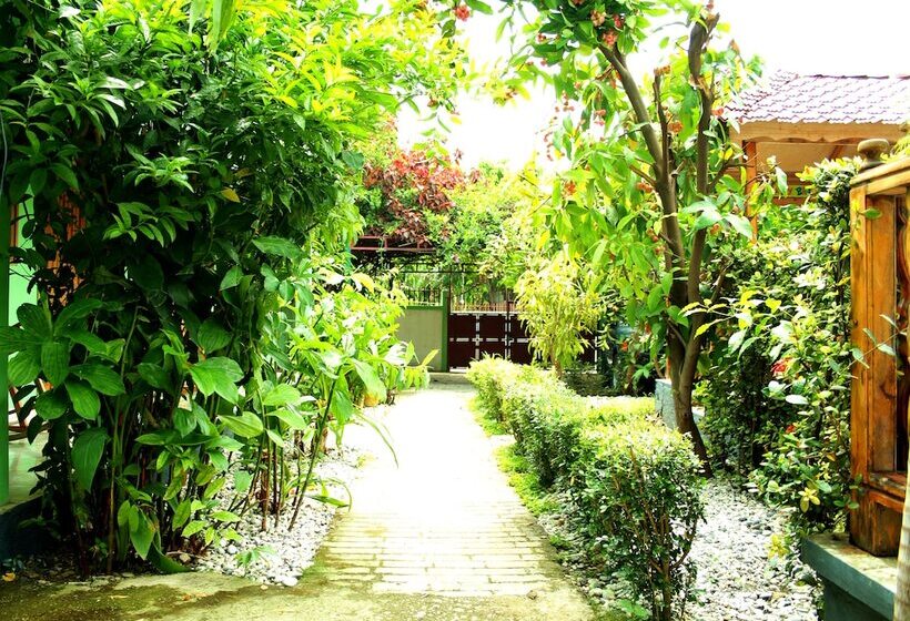 酒店 My Auberge Inn Jacmel