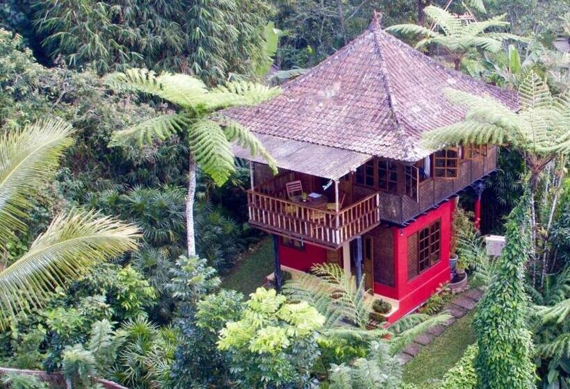 בית מלון כפרי Sarinbuana Eco Lodge