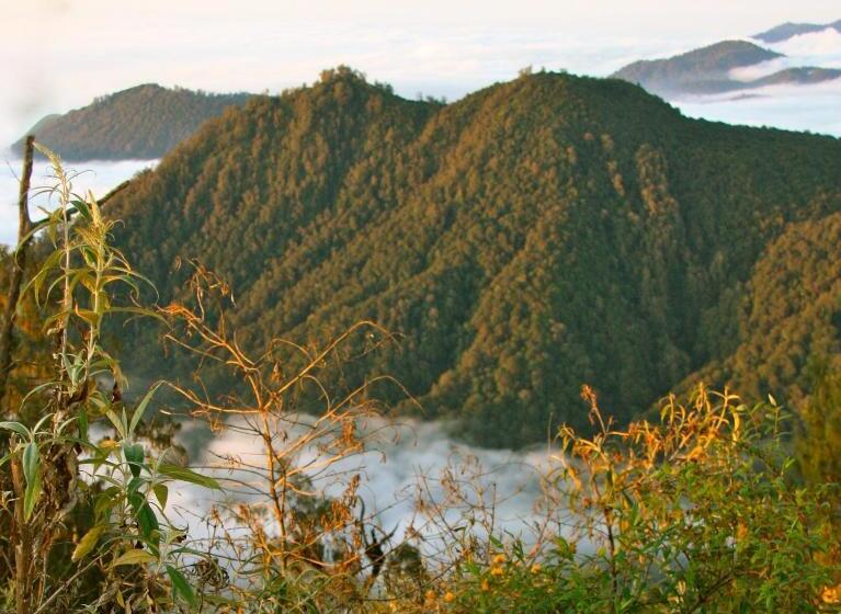 בית מלון כפרי Sarinbuana Eco Lodge