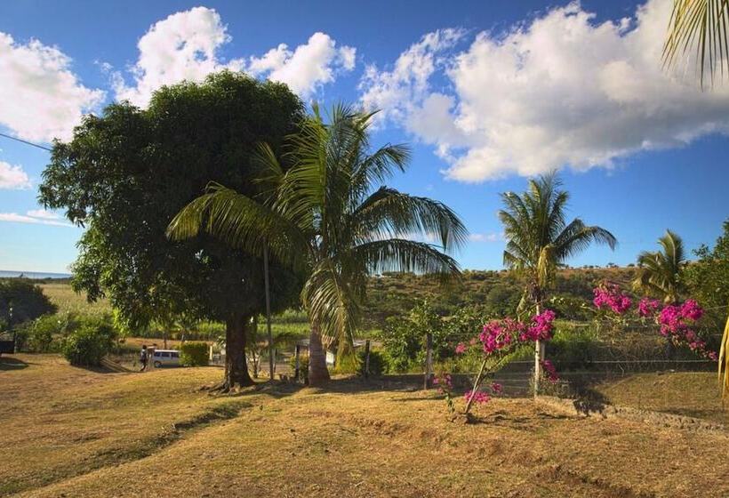 ホテル The Beehive Fiji