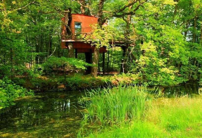 Отель The Sea Gypsy