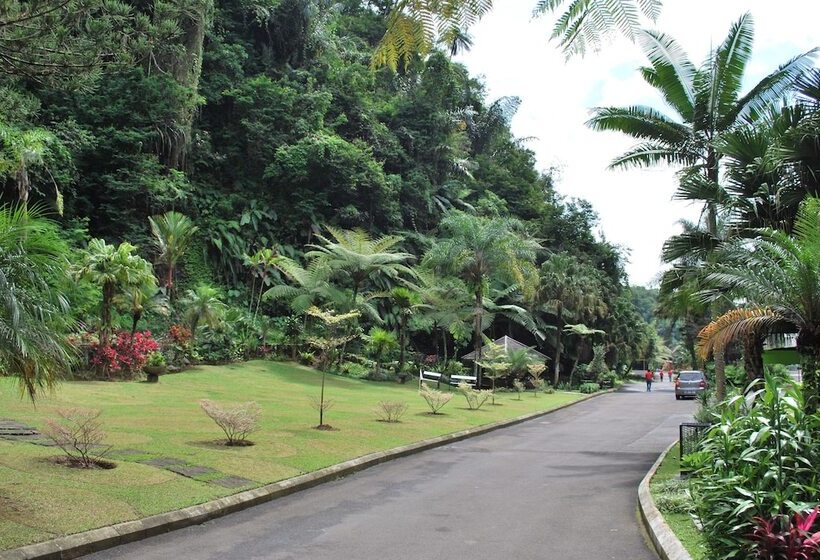 Отель Zuri Resort Cipanas