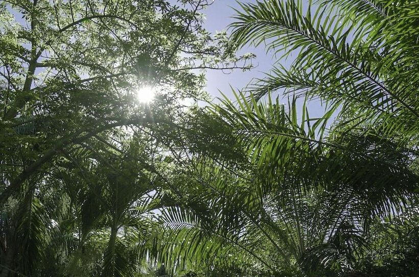 Le Jardin Hotel Restaurant