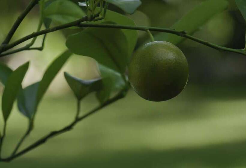 Le Jardin Hotel Restaurant