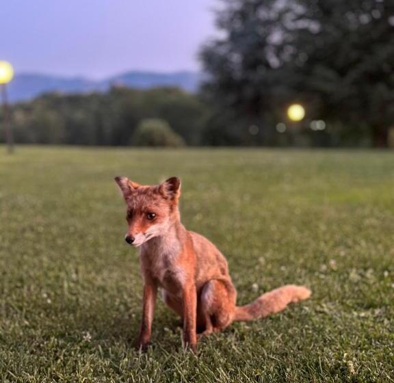 ホテル Agriturismo Borgo Imperiale