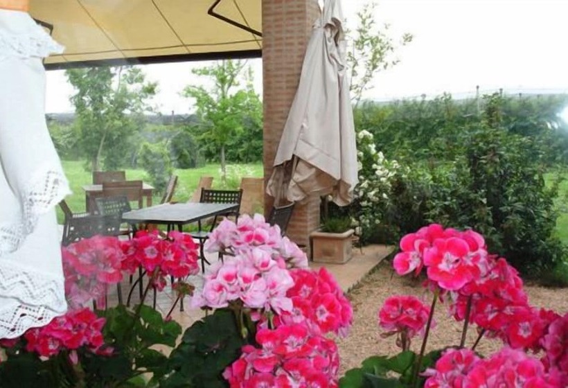 호텔 Agriturismo Ca  Del Ferro