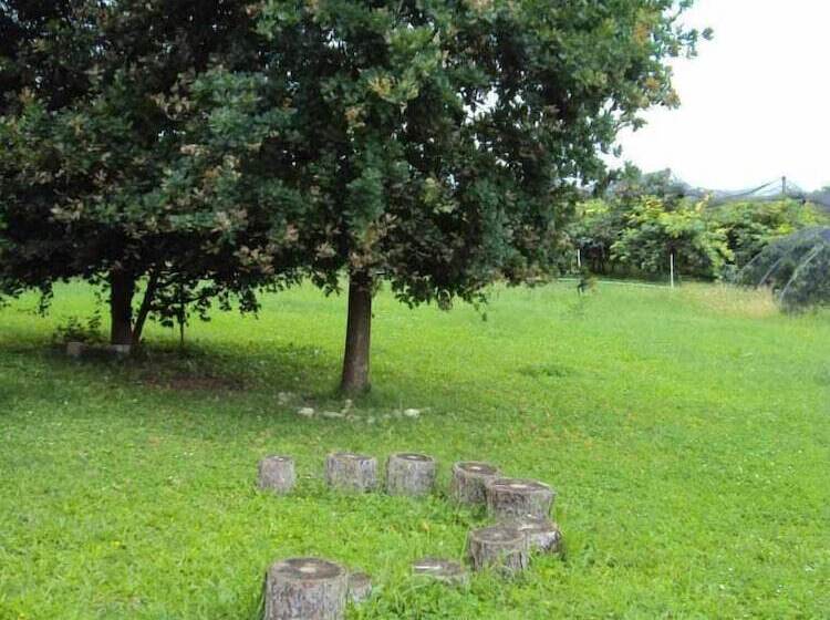 호텔 Agriturismo Ca  Del Ferro