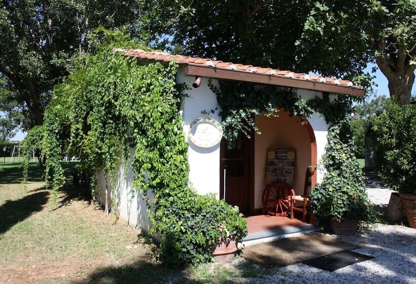 ホテル Agriturismo La Pisana