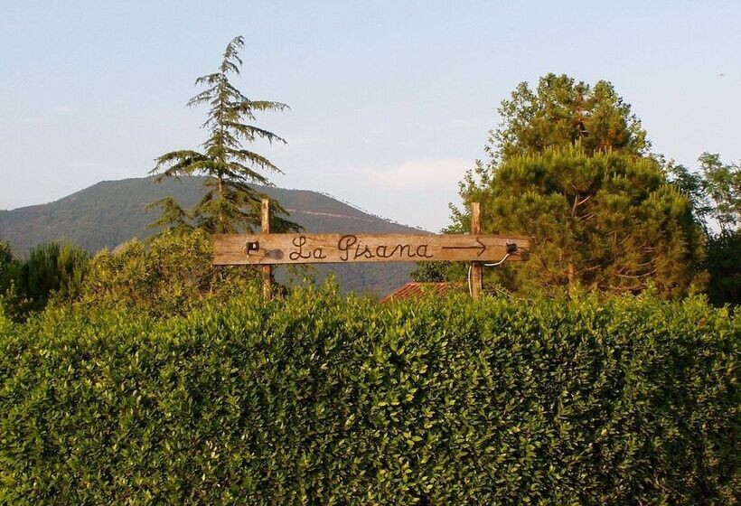 ホテル Agriturismo La Pisana