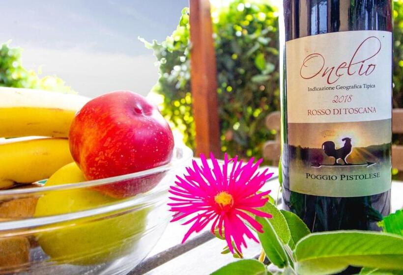 ホテル Agriturismo Poggio Pistolese