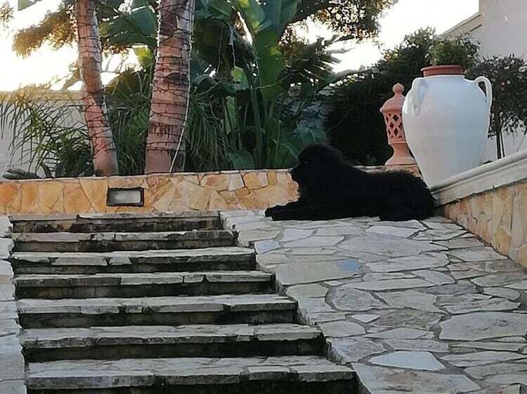 فندق B&b Cesaranum