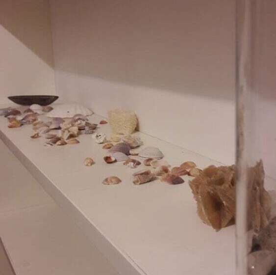 هتل Centrum Rooms