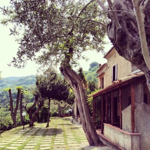 酒店 Il Casale Dell'ingegnere