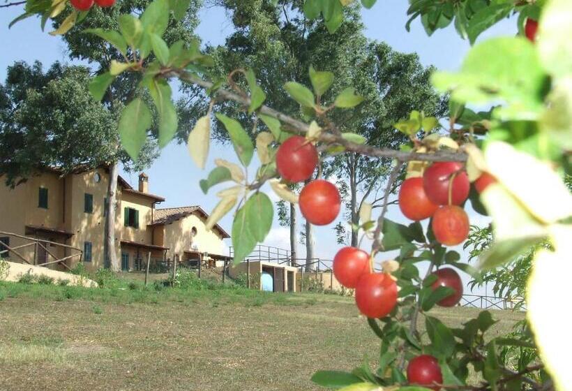 酒店 Il Casale Di Roma