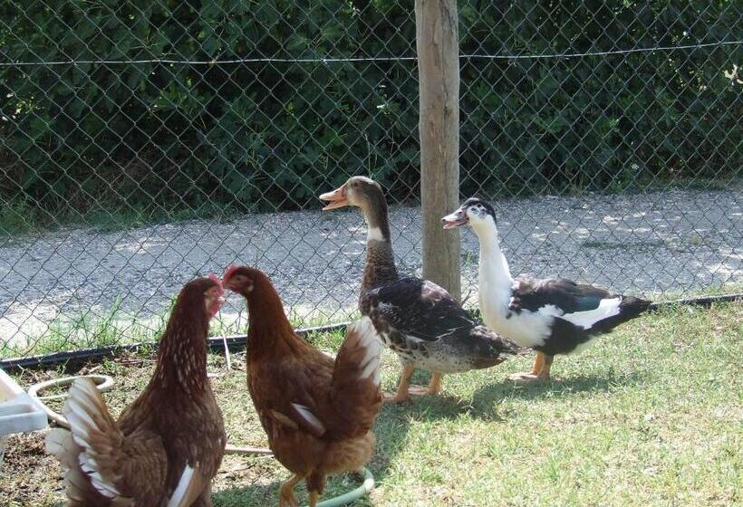 酒店 Il Casale Di Roma